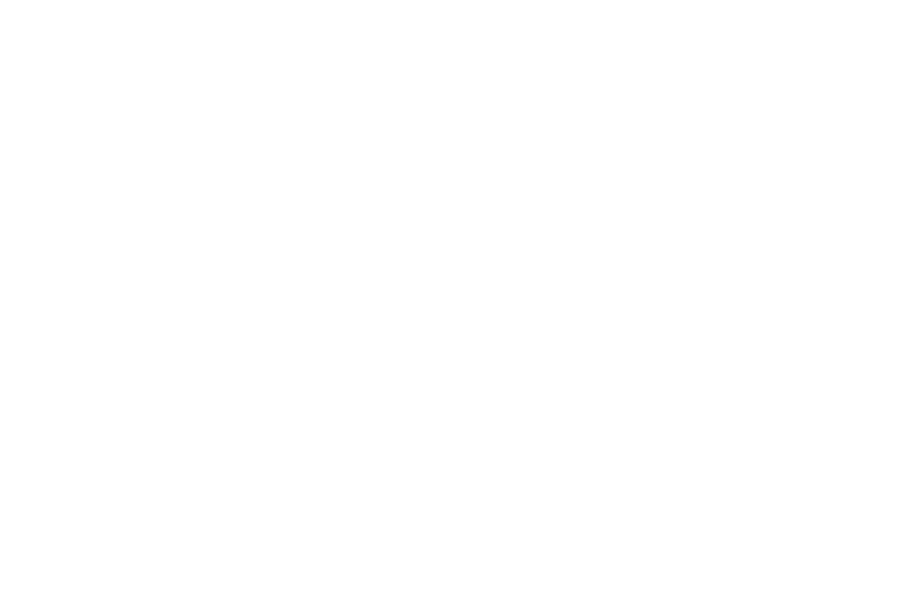 Kunde Condor | TYPO3 Agentur Münster