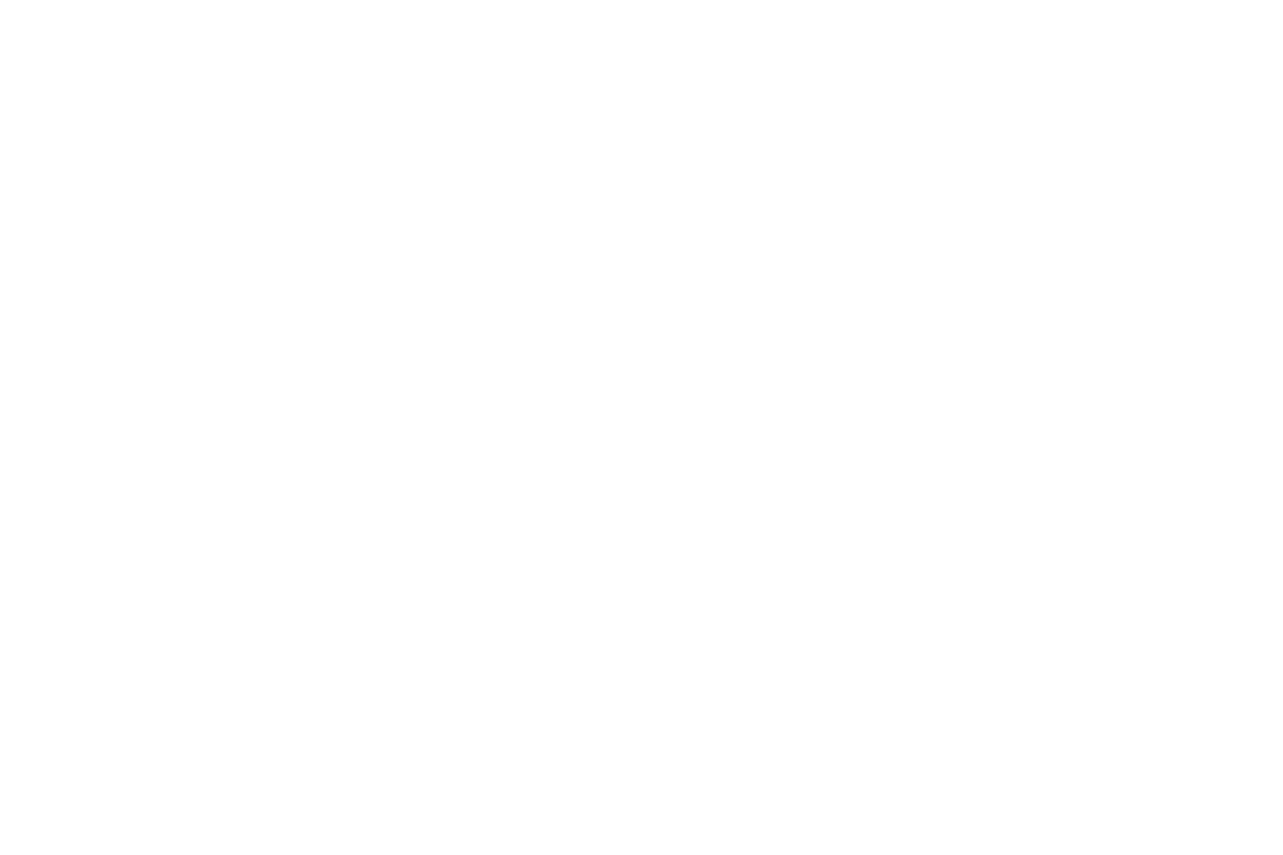 Kunde Engel & Völkers | WordPress Agentur Münster