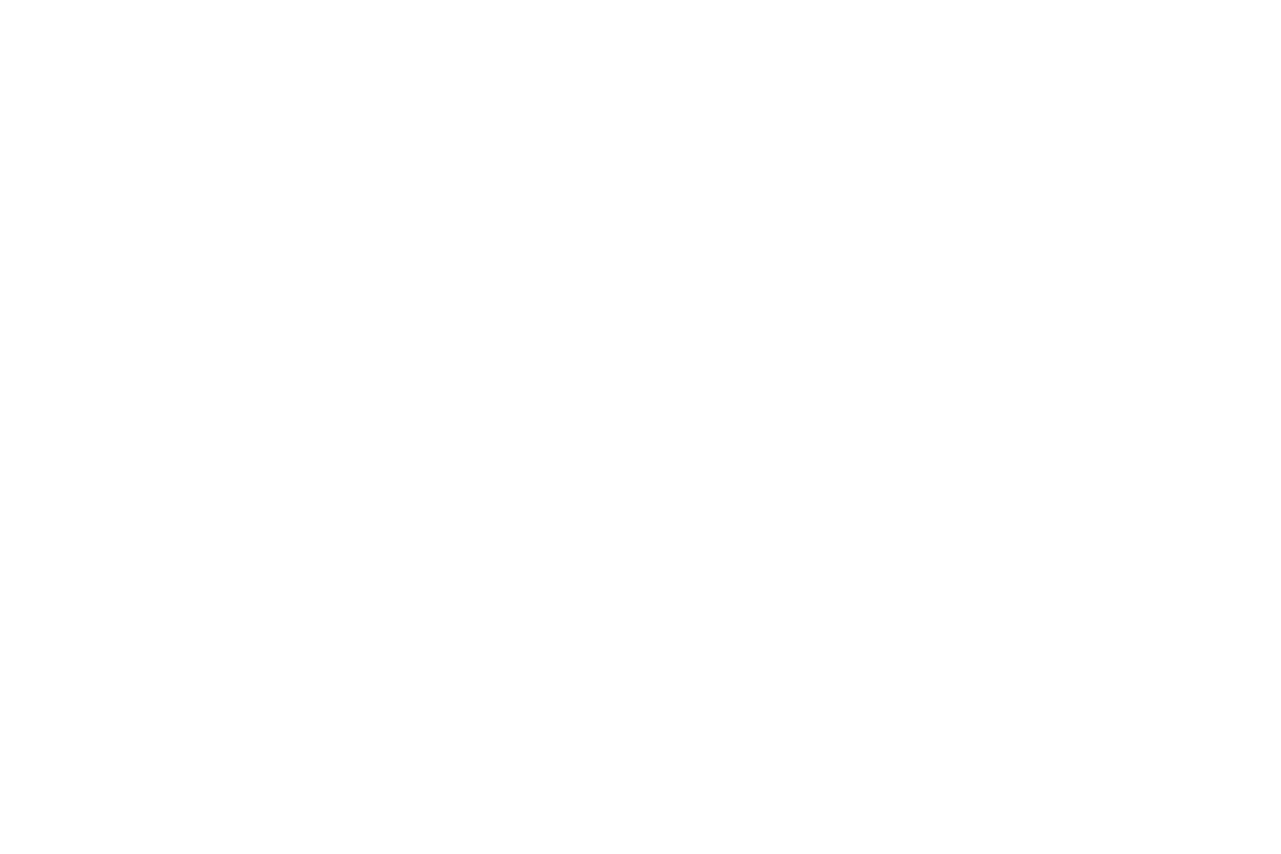 Kunde WESSLING Group | TYPO3 Agentur Münster